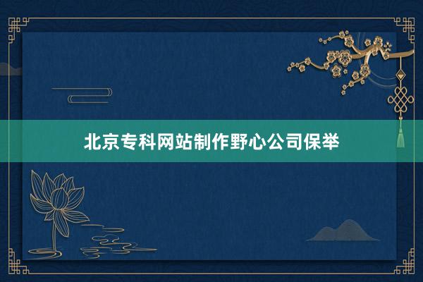 北京专科网站制作野心公司保举