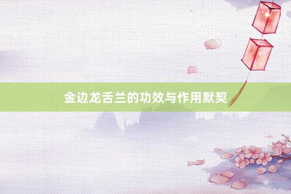 金边龙舌兰的功效与作用默契